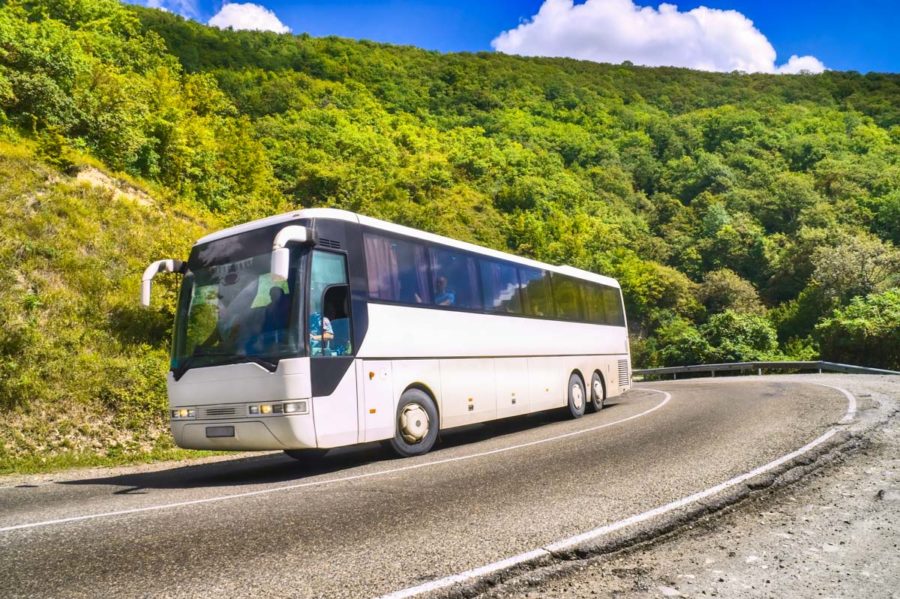 Экскурсионное бюро в санатории