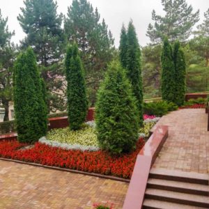 Территория в санатории «Солнечный» в Кисловодске - фотография