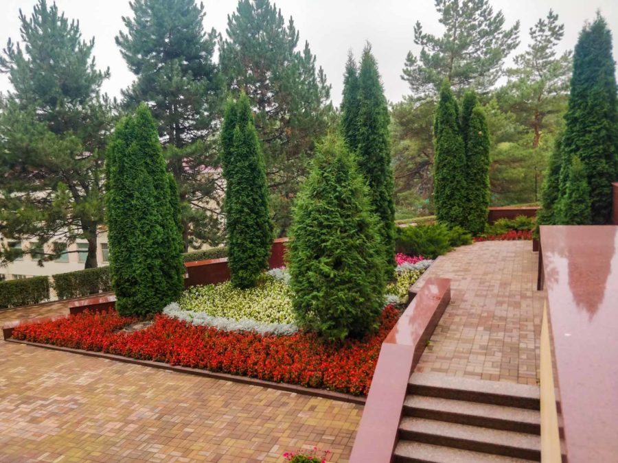 Территория в санатории «Солнечный» в Кисловодске - фотография